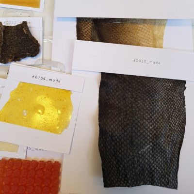 samples of fishskin