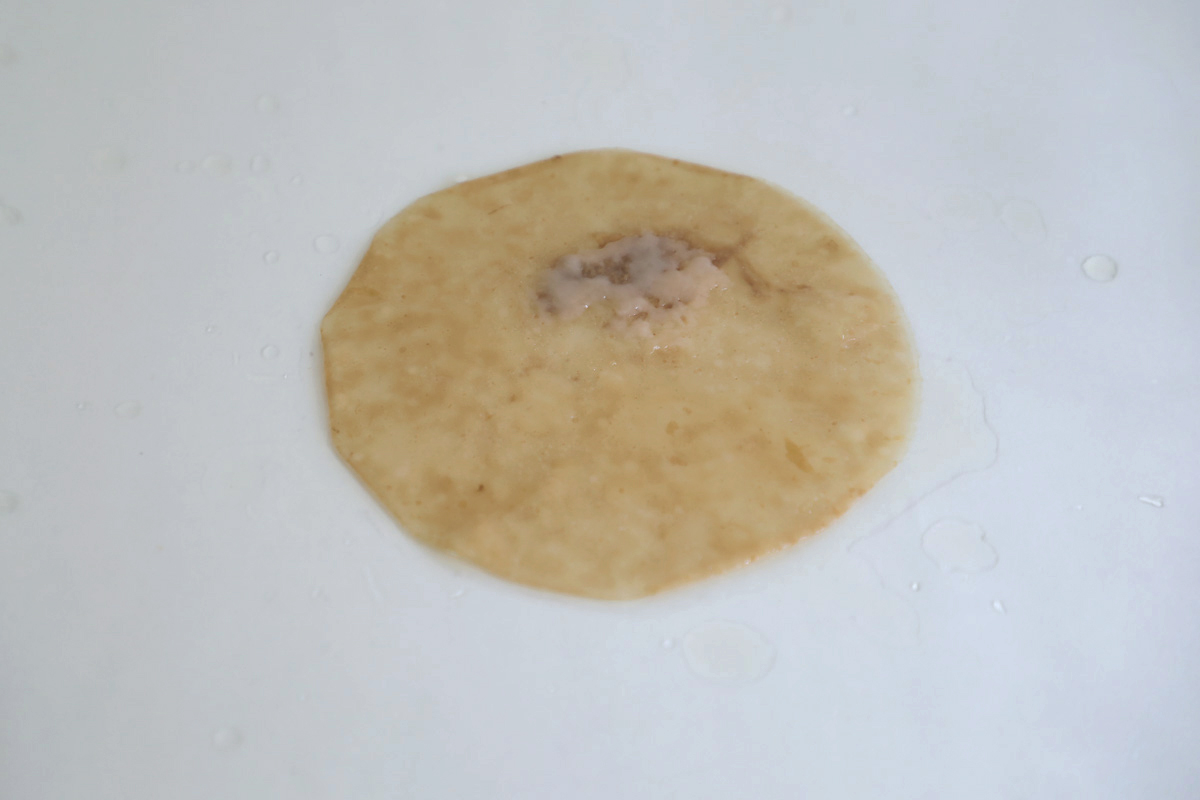 KOMBUCHA SCOBY - Loes Bogers