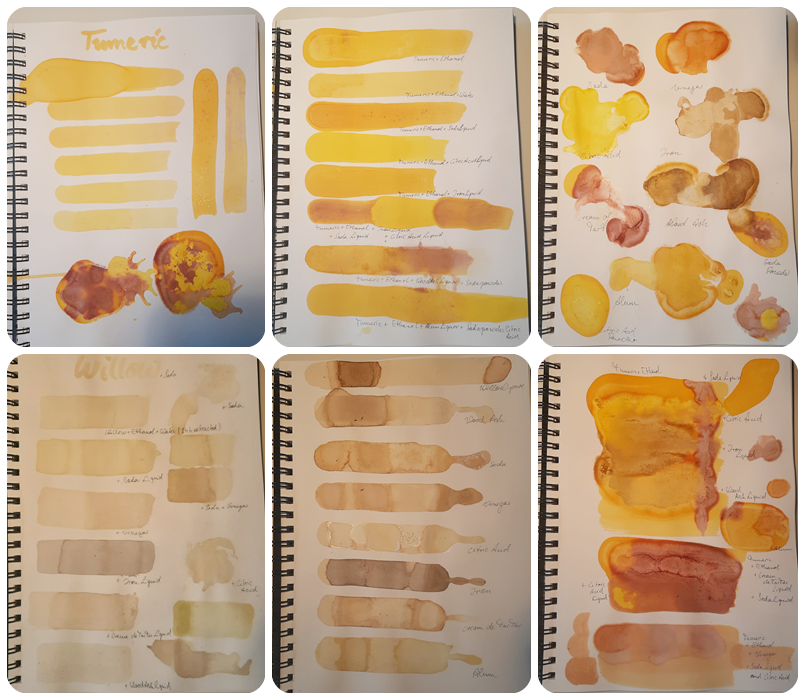 How to make watercolour paint from petals - Rebecca Desnos