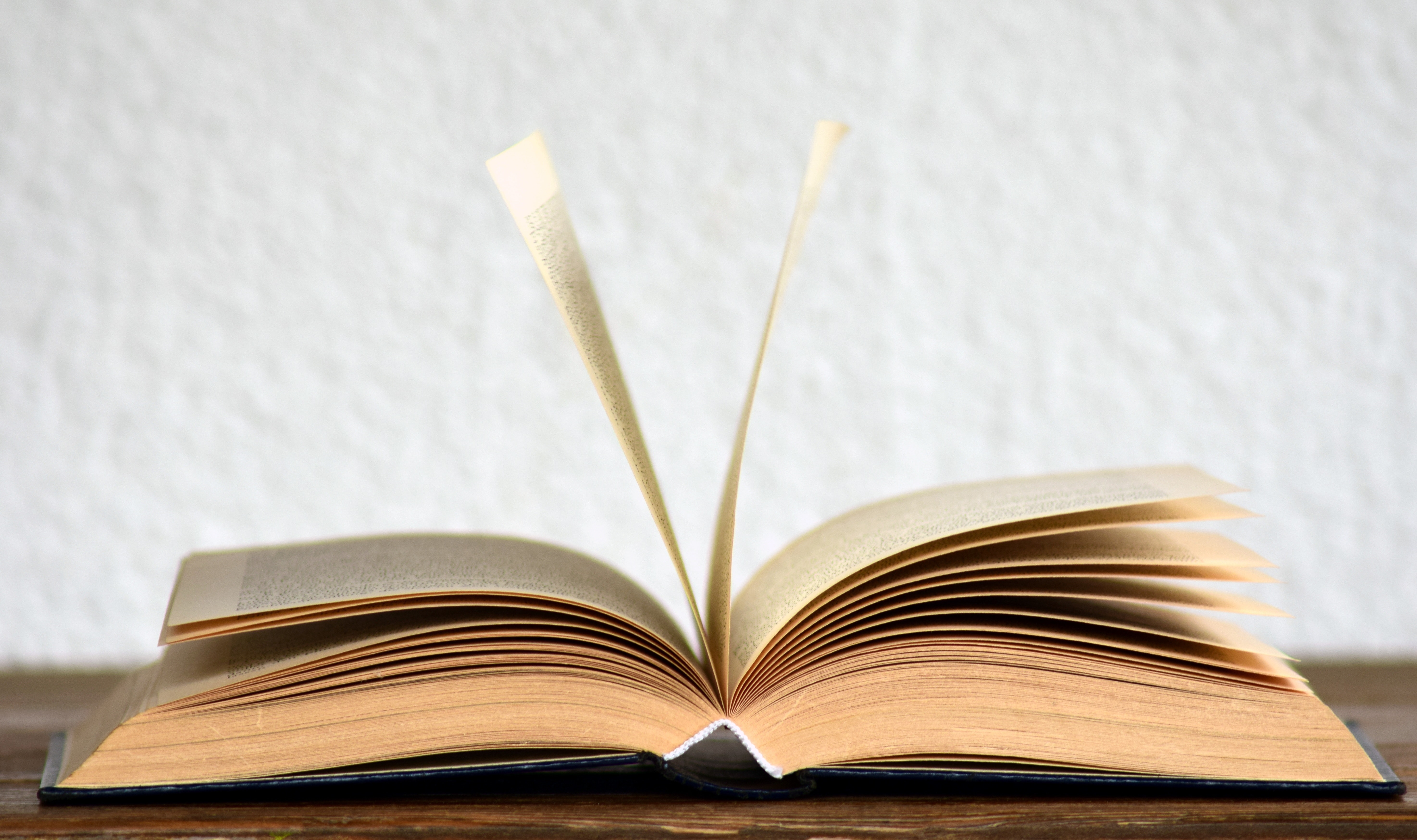 Book pixabay
