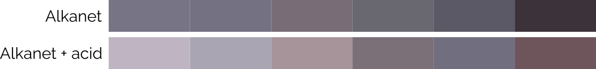Alkanet comparison of colours
