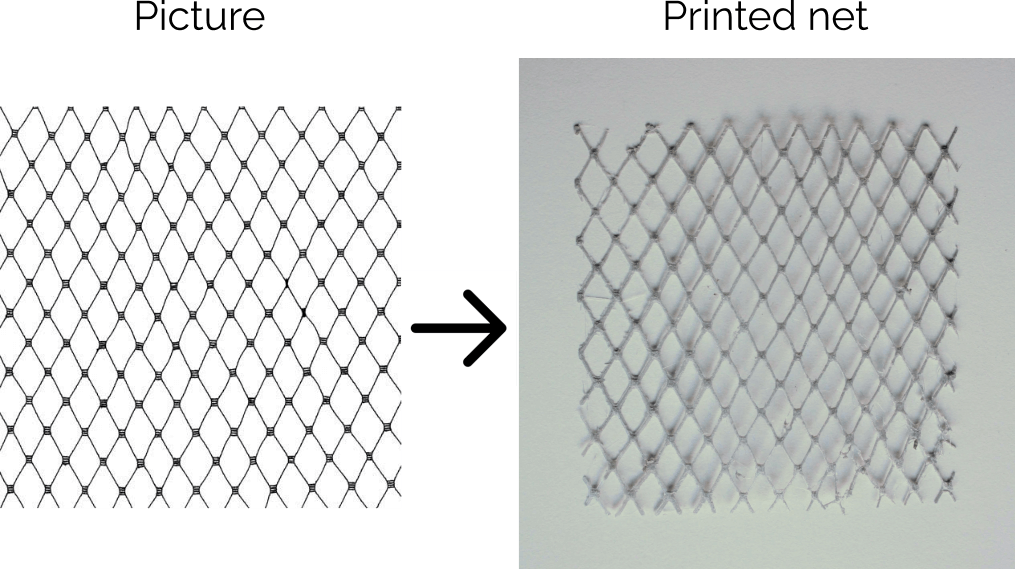Net picture vs final print