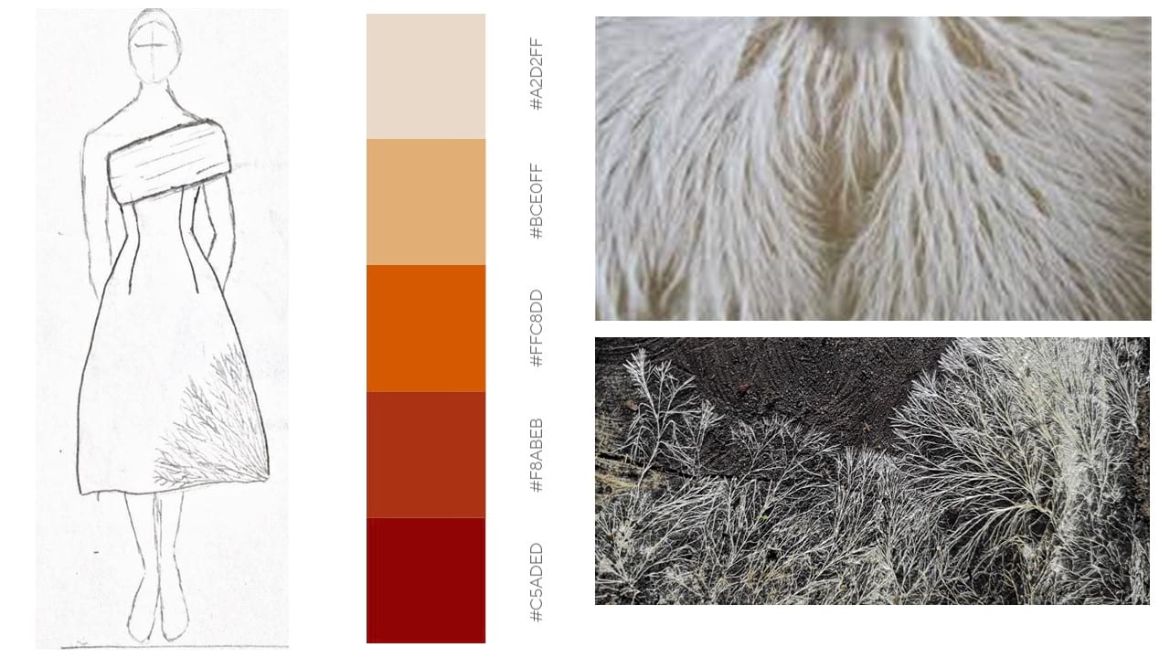 Moodboard Mycelium