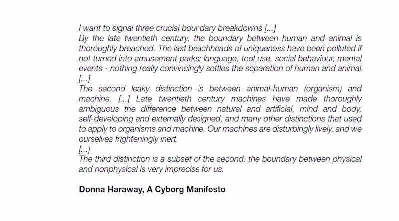 cyborg manifesto