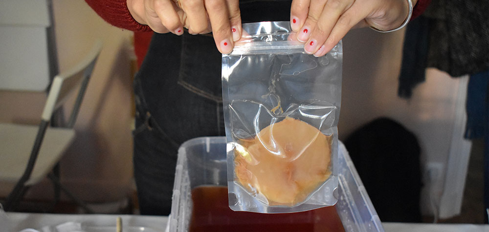 scoby