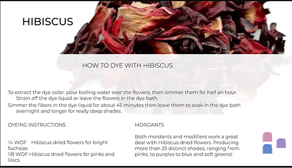 Hibiscus Dye