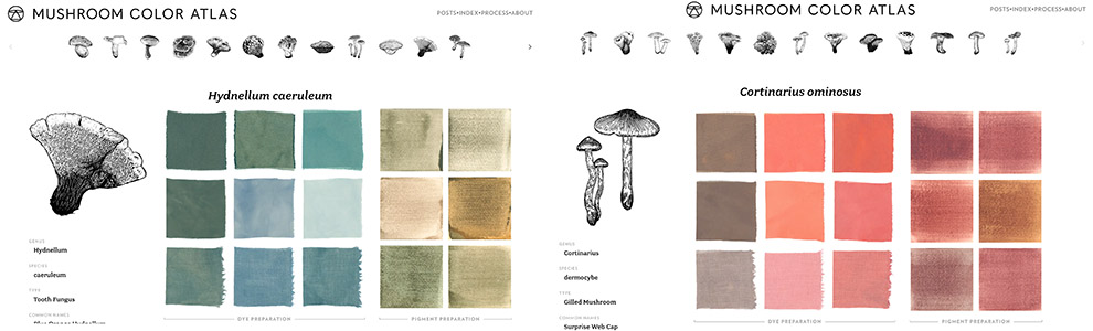 Pictures from mushroom color atlas website