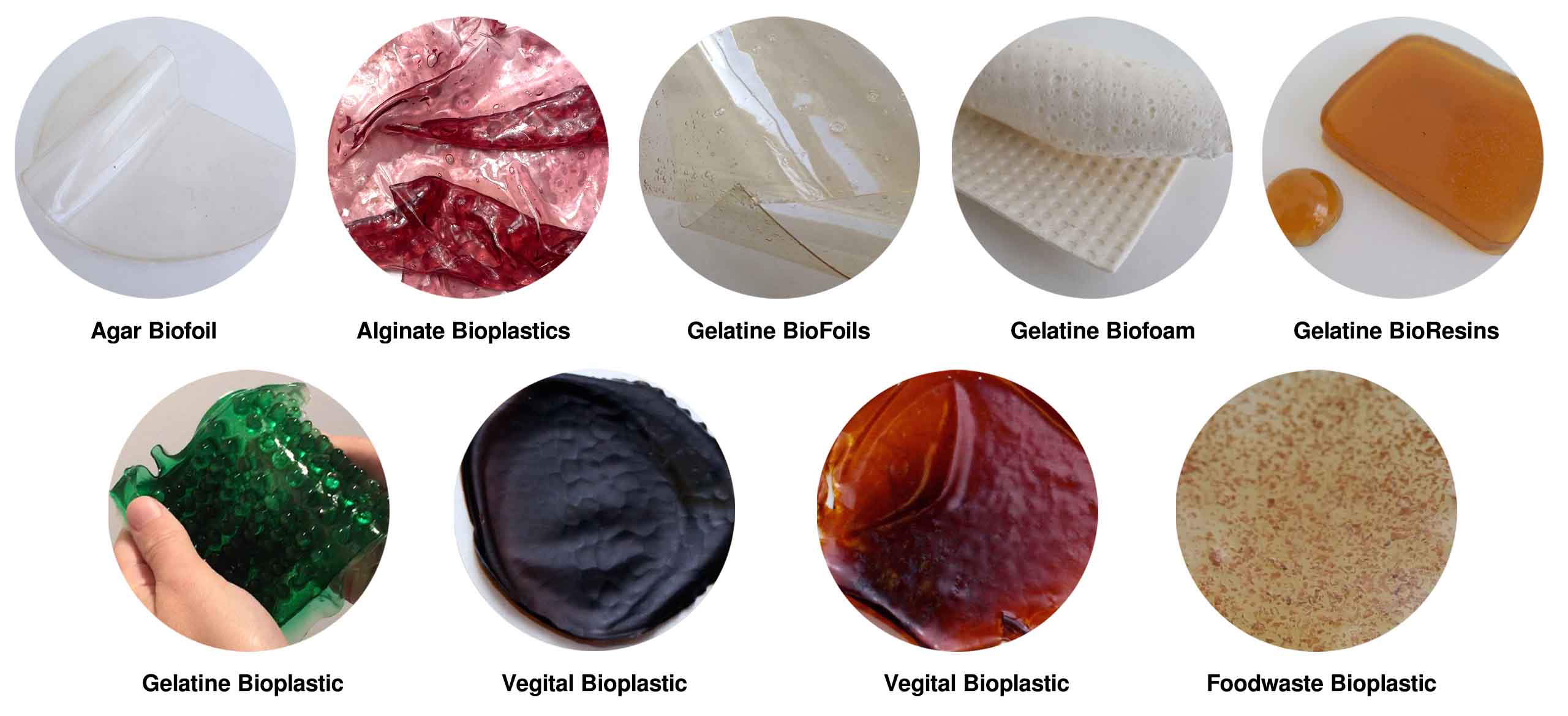 Bio Plastics