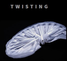 twisting