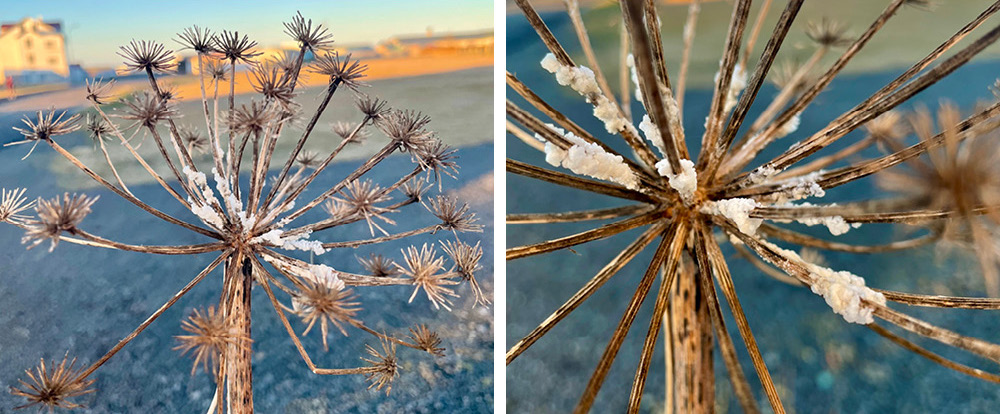 salt crystals