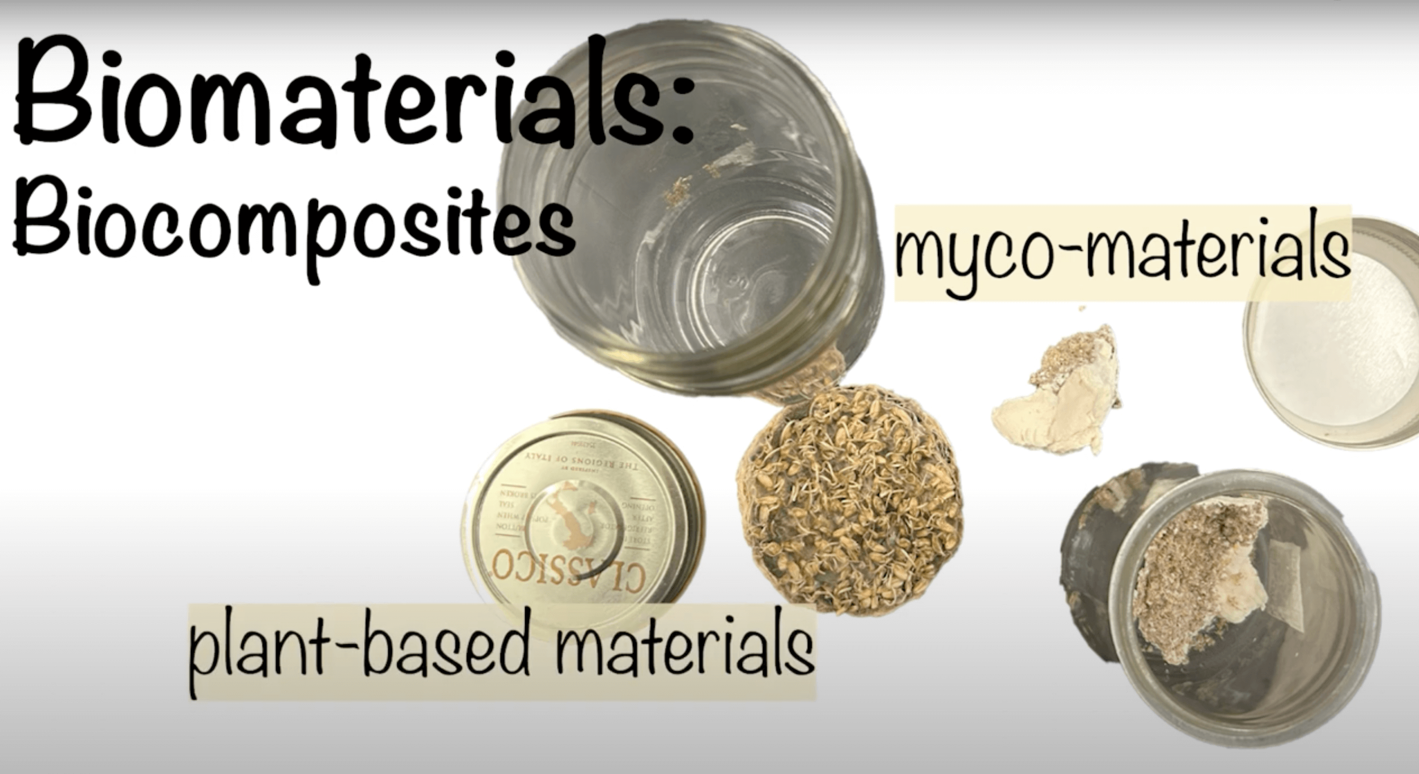 biomaterials biocomposites