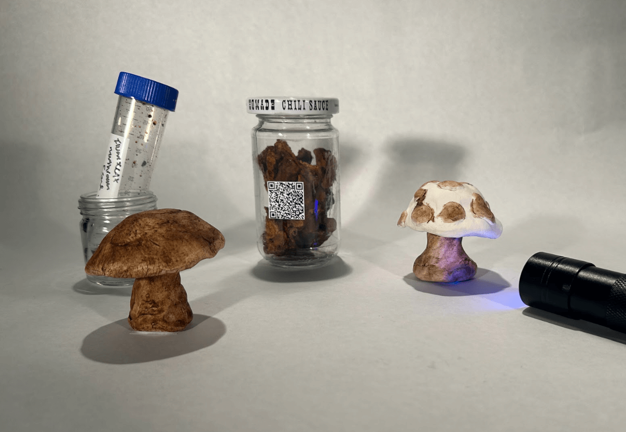 Fungal Pigments and Ceramics