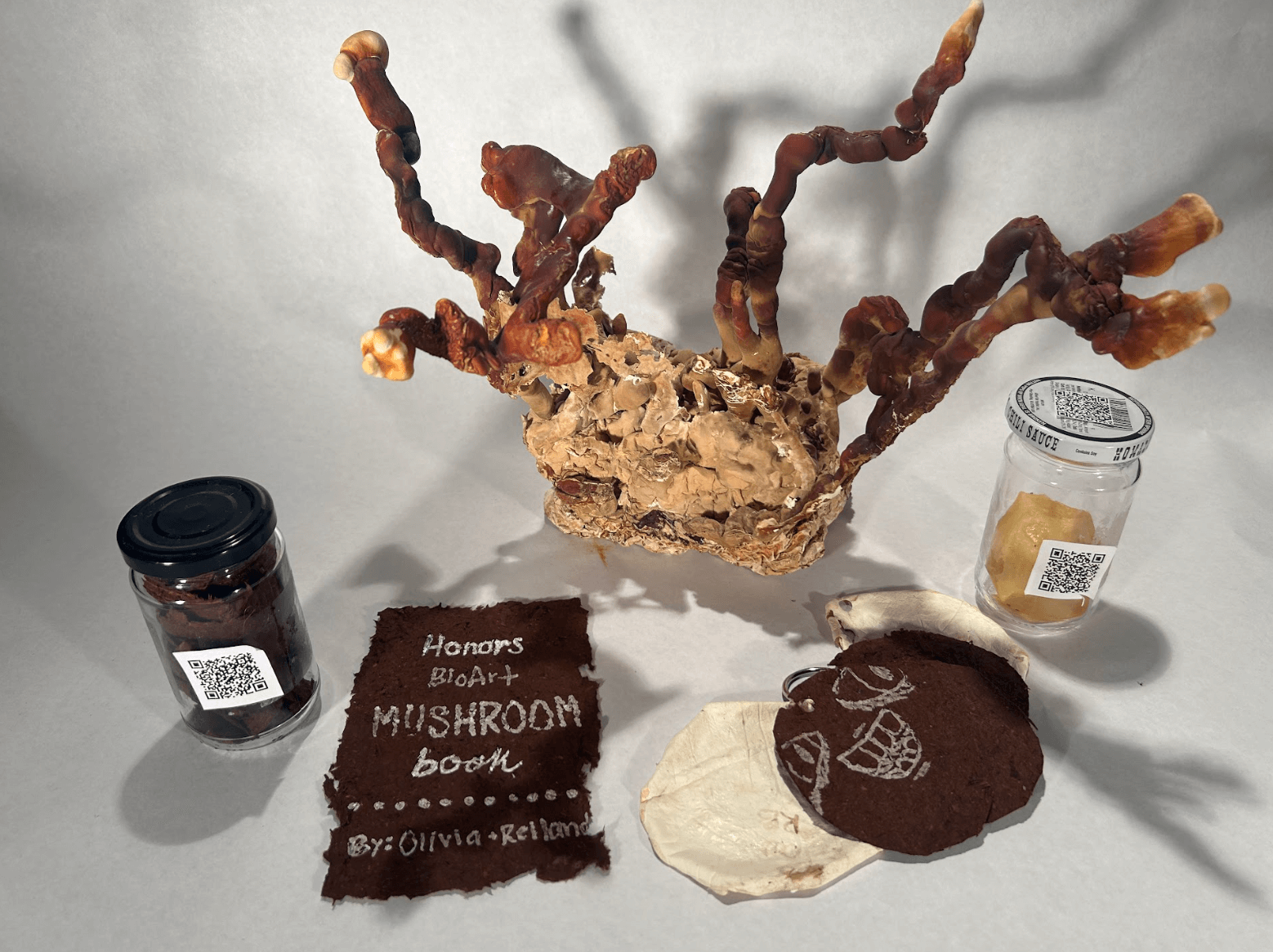 Mycelium Leather and Mushroom Paper