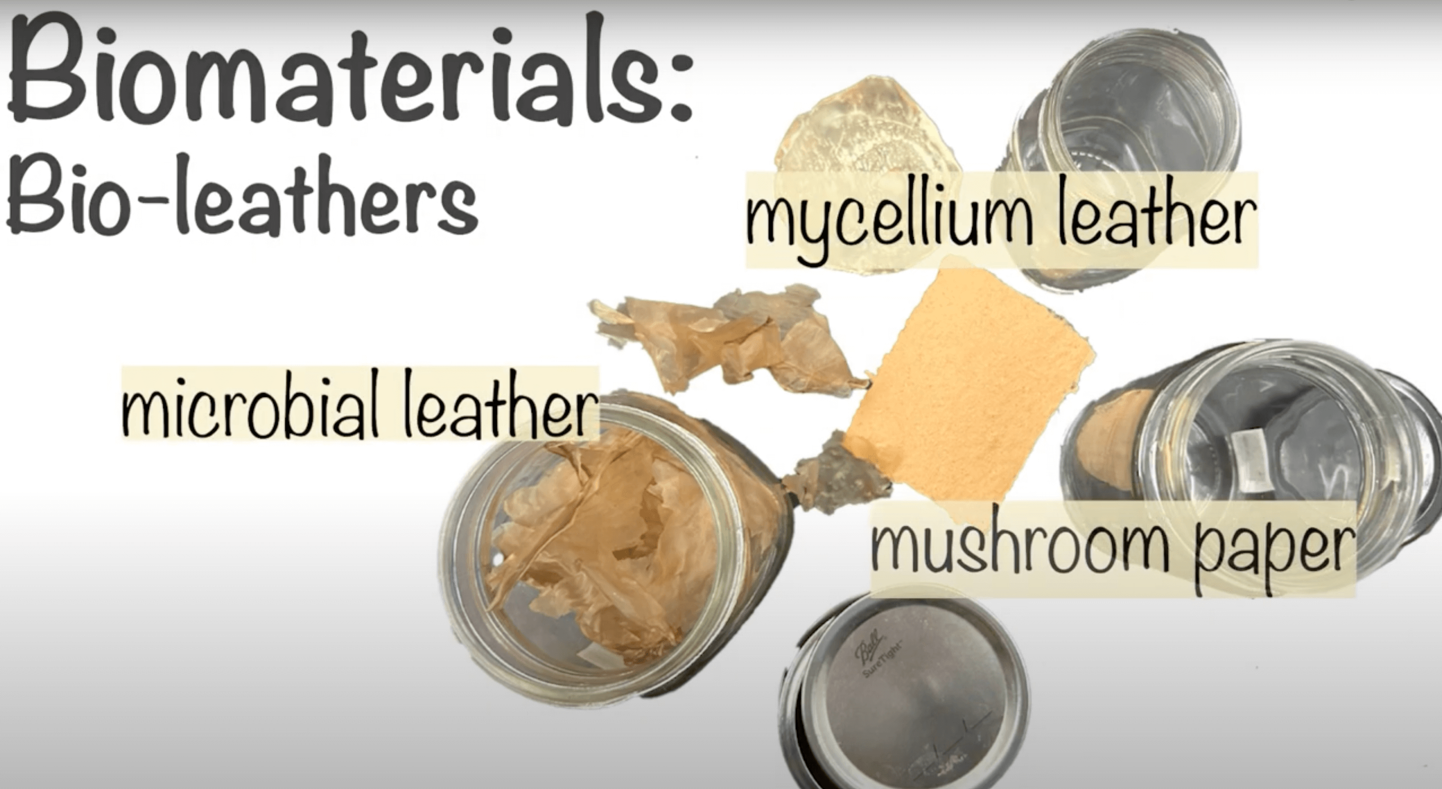 biomaterials bioleather