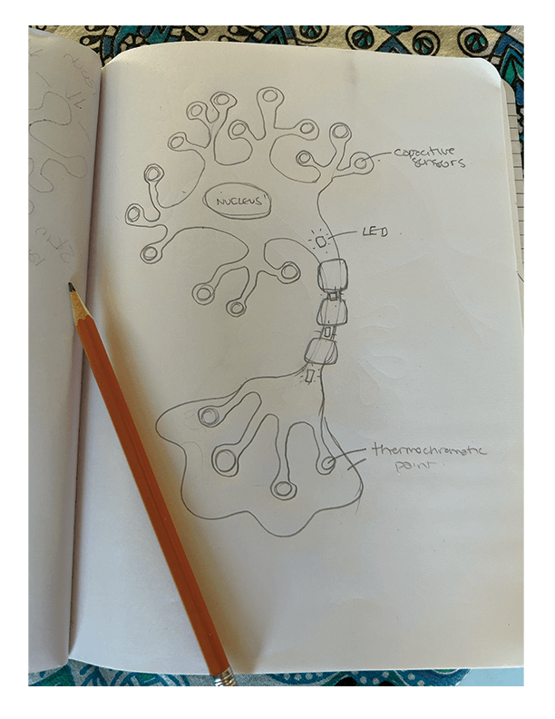 Neuron sketch