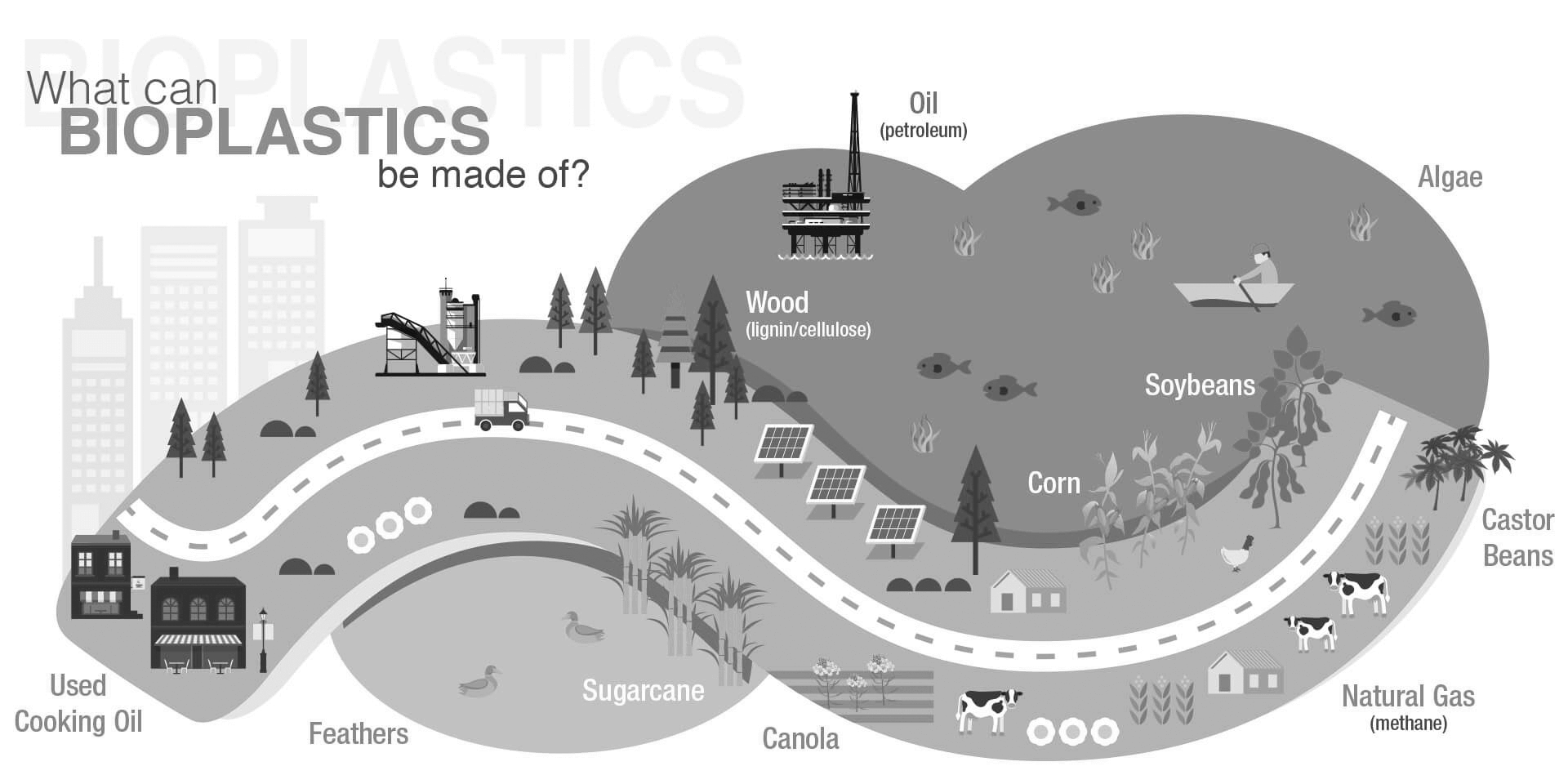 What can Bioplastics be made of?