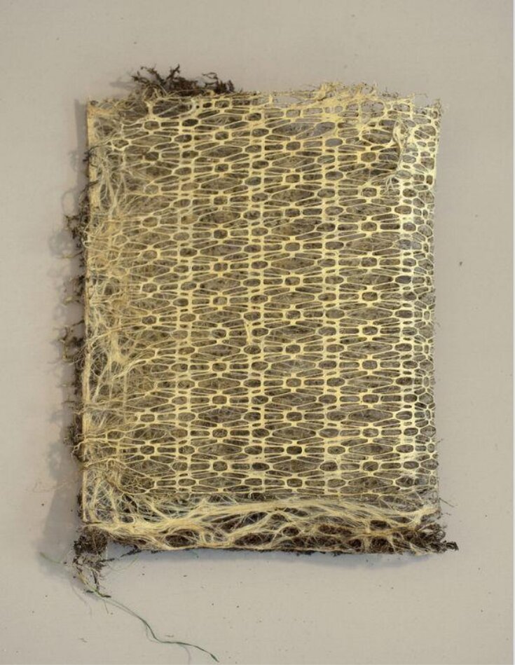 Fabric made from roots