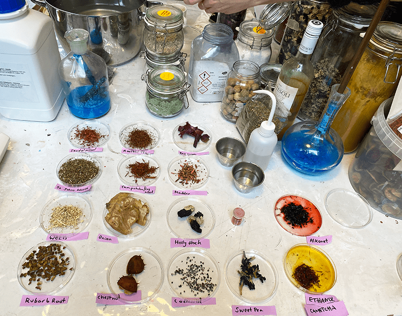 Natural dye possibilities