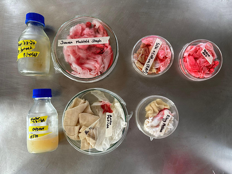 Bacteria samples
