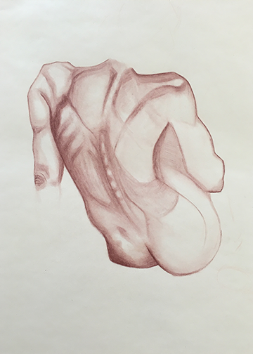 nude drawing male back