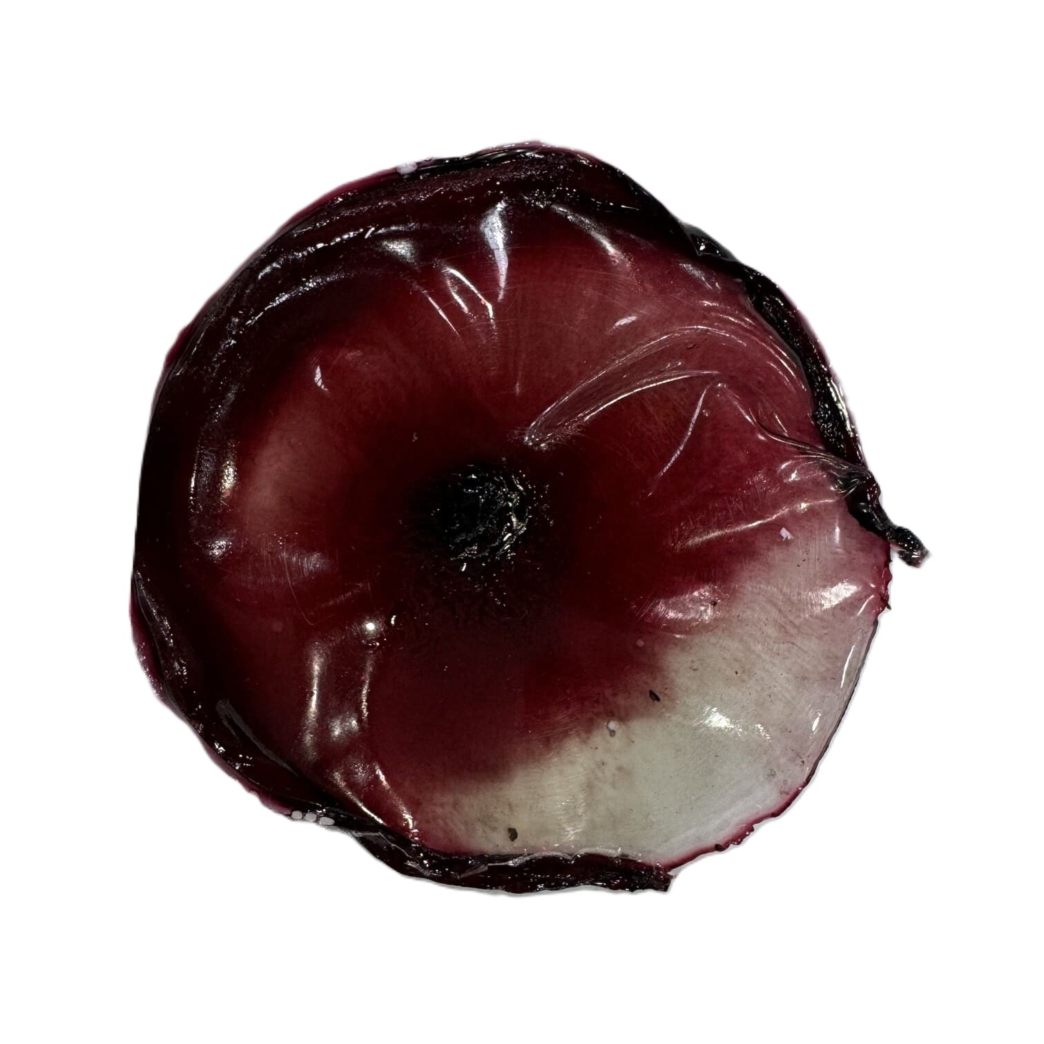 Gelatine Bioresin
