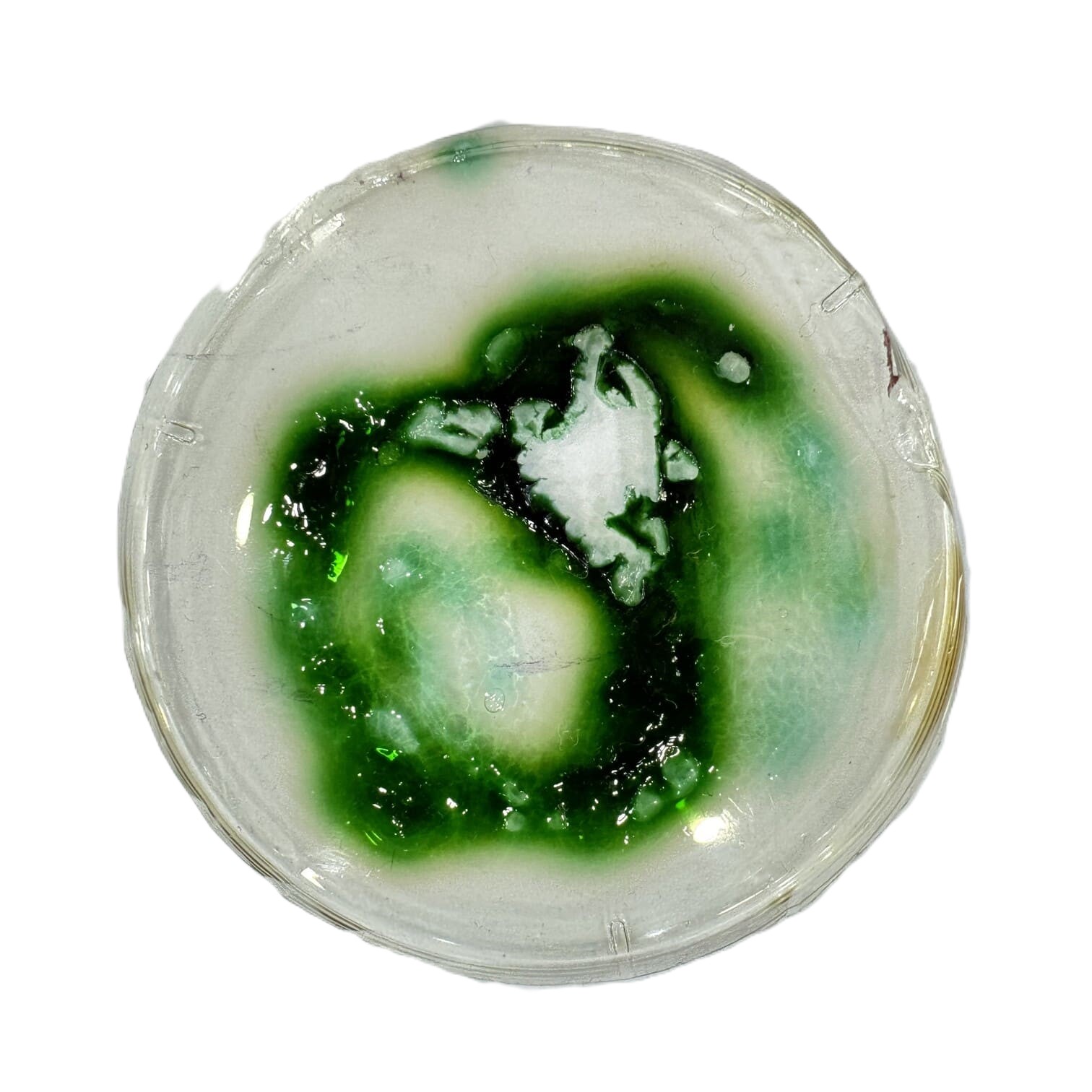 Gelatine BioSilicone