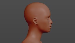 Make Human2