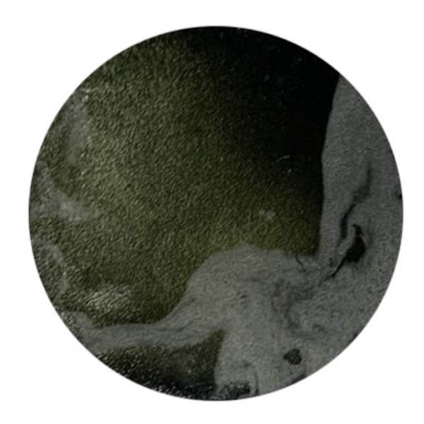 Bio-plastic