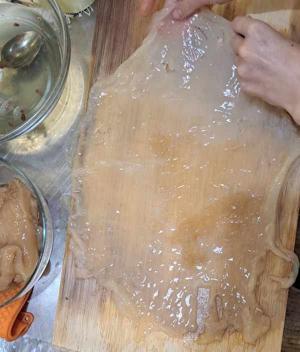 Kombucha Skin