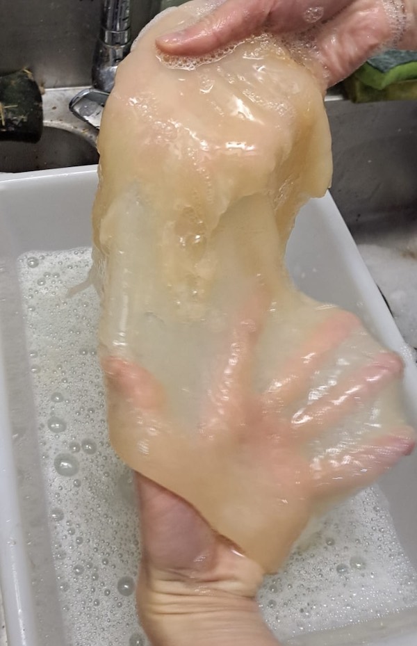 Kombucha Skin