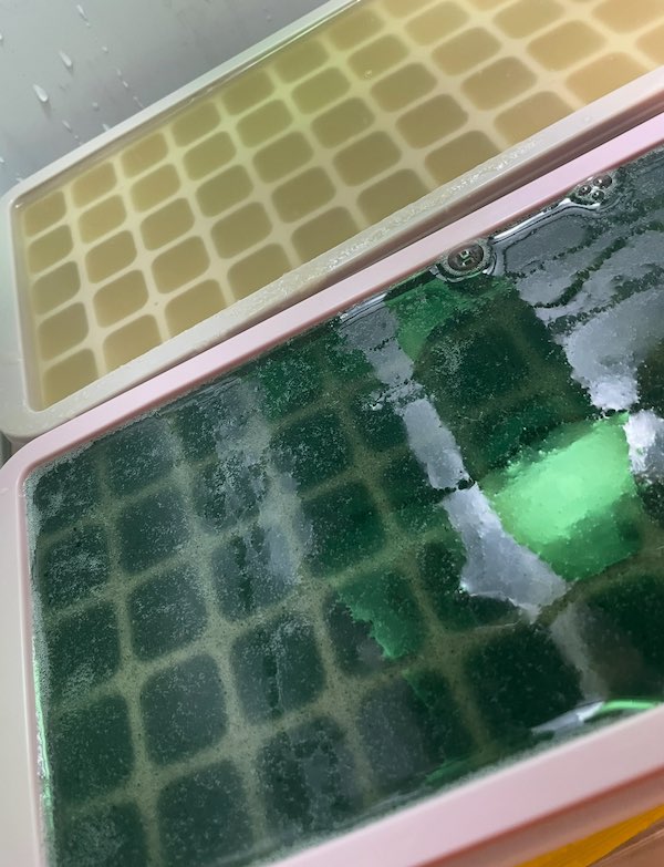 Seamoss Gummies