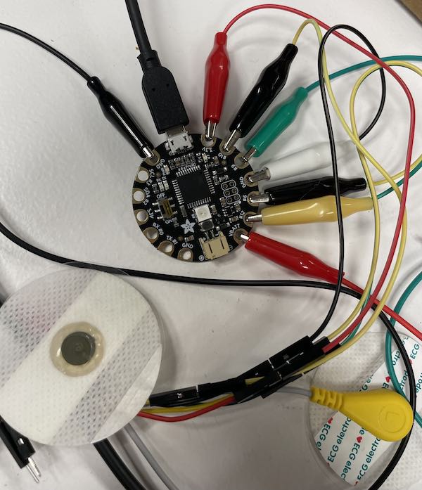 Heart Rate Pin