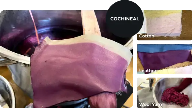 dying result with cochineal