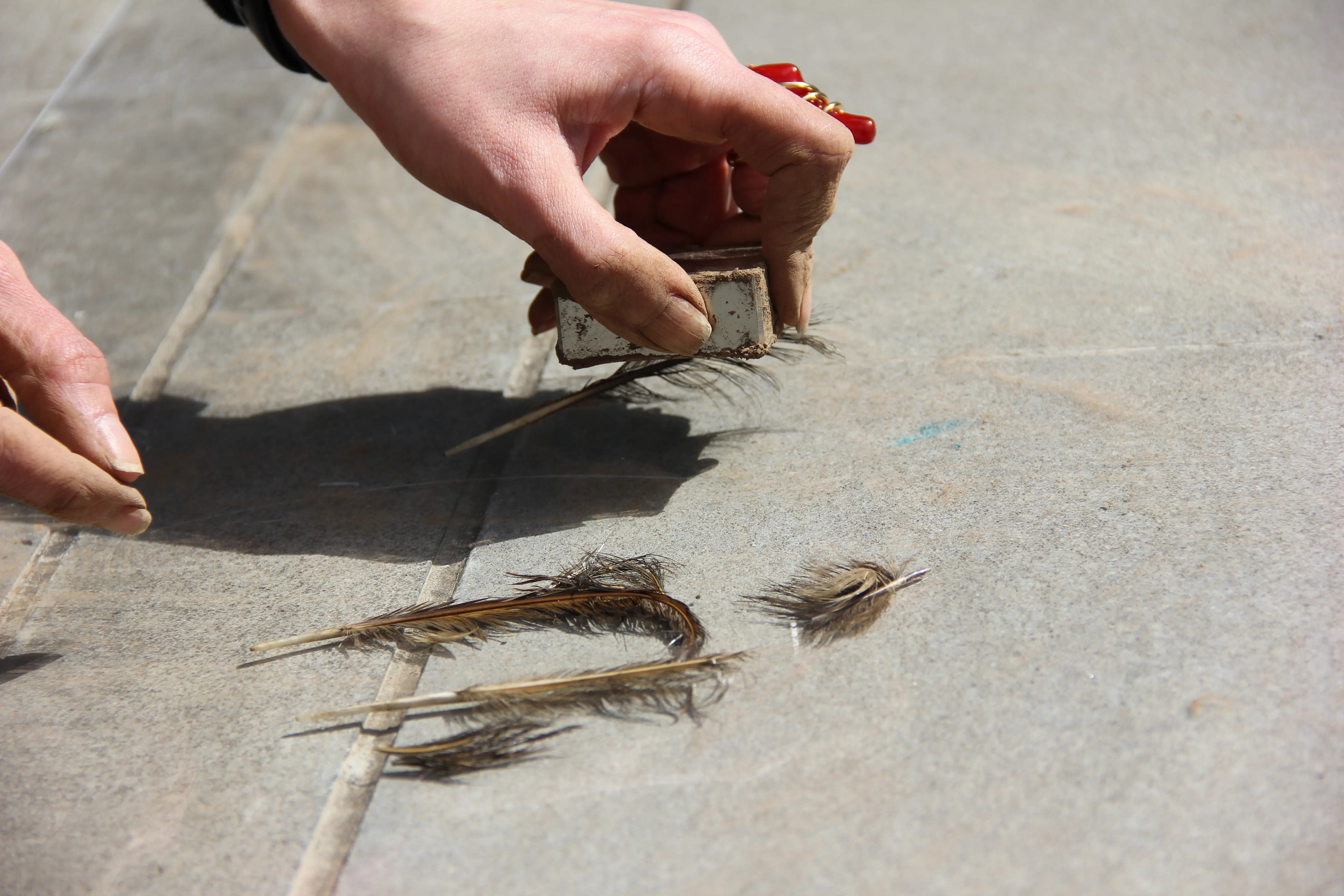 Magnetic Feather