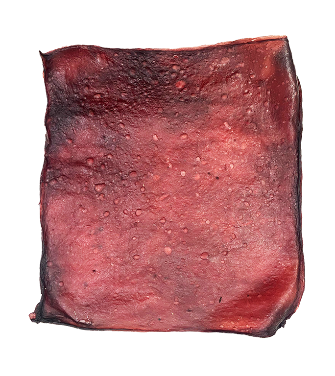Kombucha