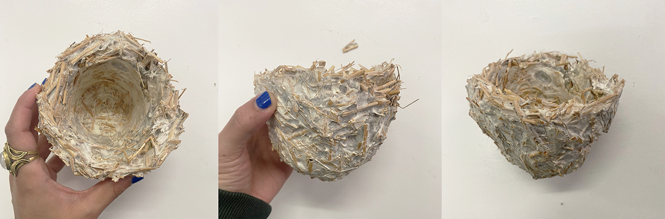 Mycelium