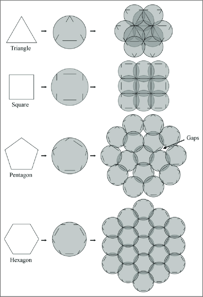 infographic