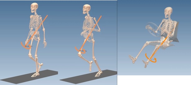 spine axis of human at jogging