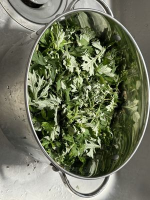 half dip mugwort