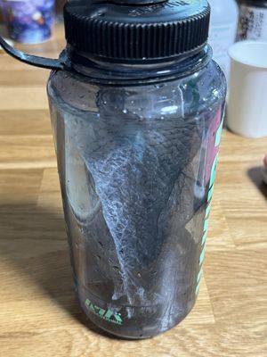 put fish skins in nalgene bottle