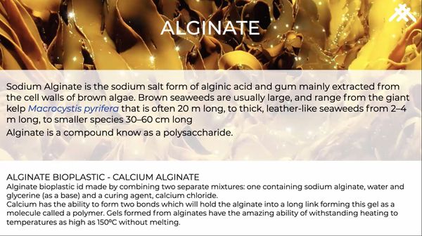 explanation of alginate