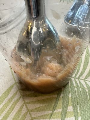 making kombucha pulp with blender