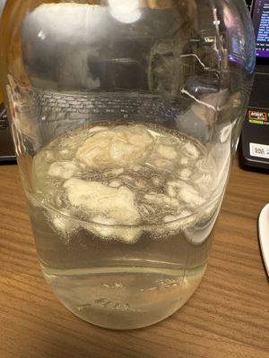 alginate water after a night without blending