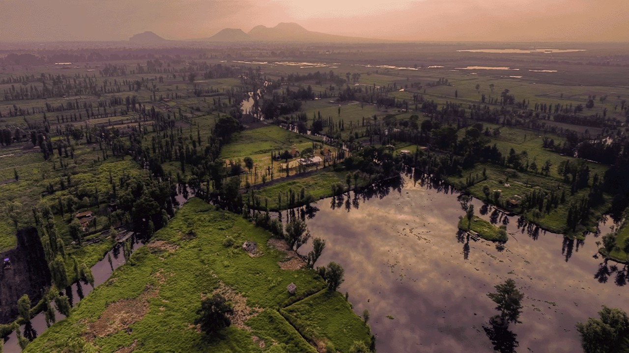 chinampas