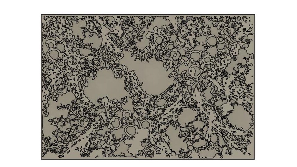 Further abstraction of moss patterns used to define root guidance channels