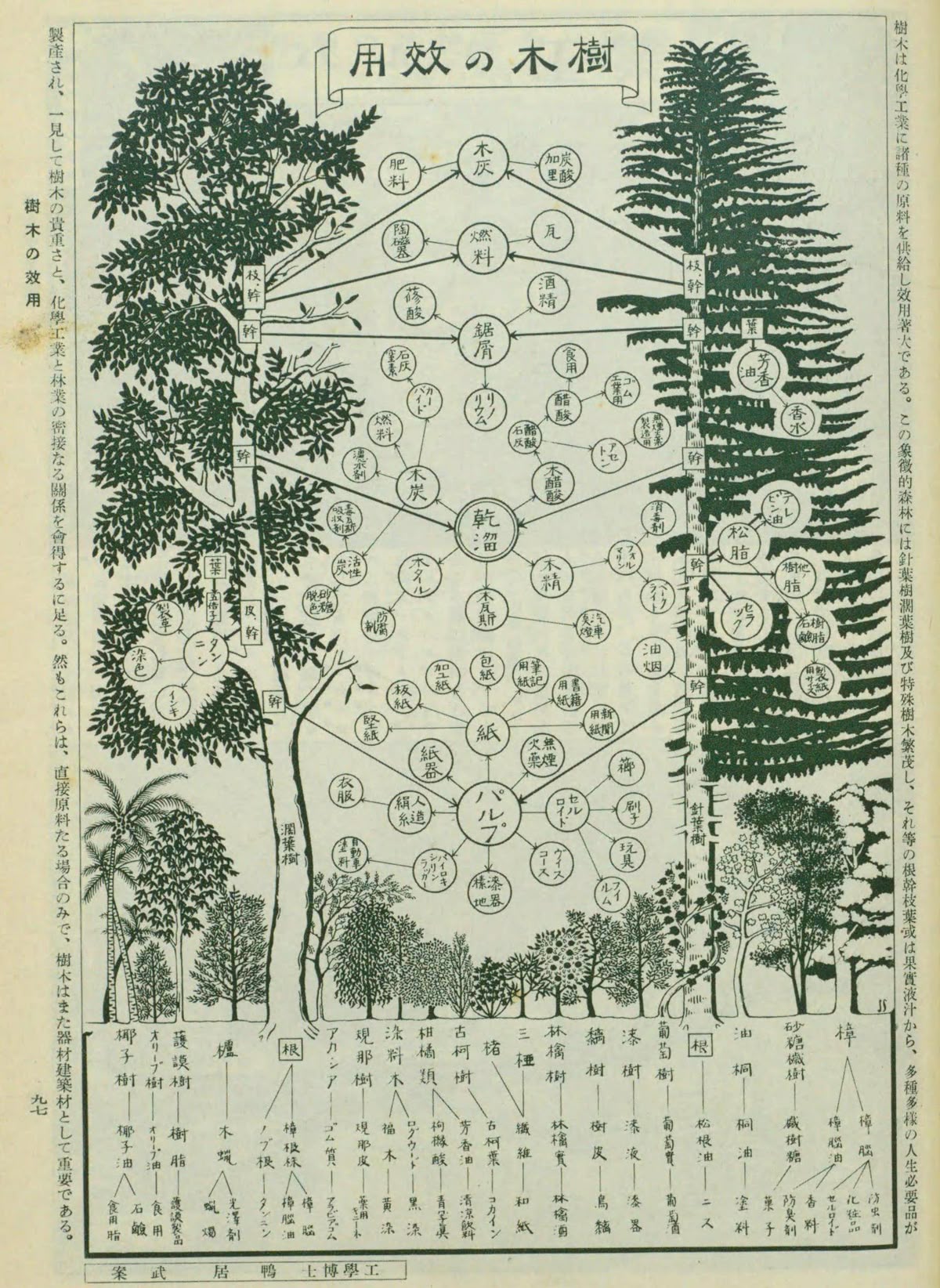 describe what you see in this image