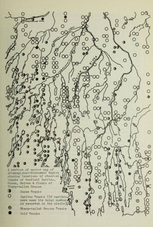 describe what you see in this image