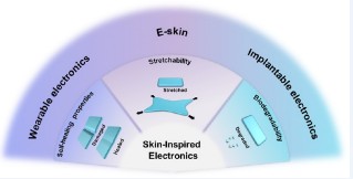 Skin inspired electonics