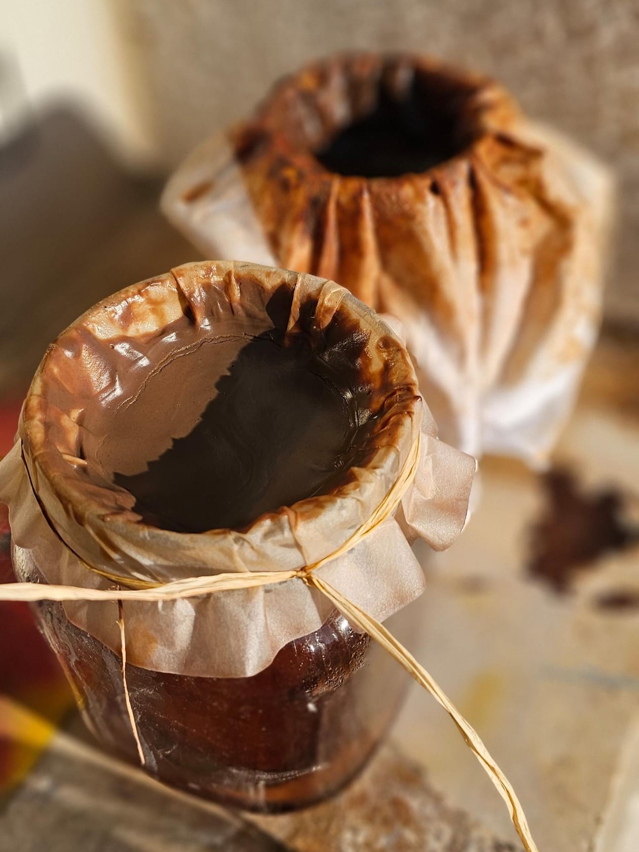 Onion Pigment Drying
