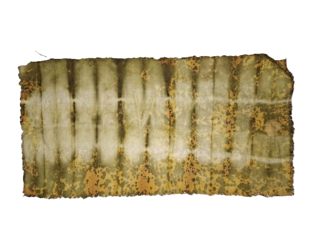 Onion Shibori 2